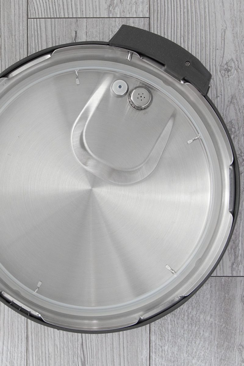 Picture of the underside of the lid of the Instant Pot Rio Wide Plus, showing the sealing ring.